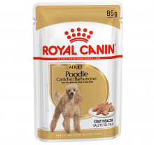 Royal Canin 貴婦成犬濕包85G|犬公館|免費送貨