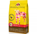 Brabanconne爸媽寵-大型成犬雞肉配方10kg|犬公館|免費送貨