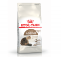 Royal Canin 老貓12+貓糧2kg|犬公館|免費送貨