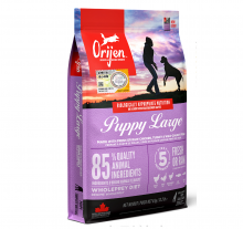 Orijen 無穀物雞肉(大型幼犬)狗糧6kg|犬公館|免費送貨