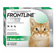 Frontline plus 貓用殺蚤水三支裝(幼貓及成貓)|犬公館|免費送貨