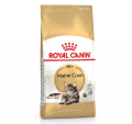 Royal Canin 緬因成貓糧10kg|犬公館|免費送貨