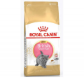 Royal Canin 英短幼貓糧10kg|犬公館|免費送貨