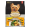 Oven-baked 老犬,減肥 雞肉細粒配方 5LB