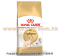 Royal Canin 無毛貓成貓配方 2kg