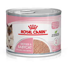 Royal Canin-初生貓罐頭195g|犬公館|免費送貨