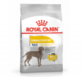 ROYAL CANIN 大型成犬皮膚敏感配方12KG|犬公館|免費送貨