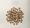 NOW FRESH-無穀物老犬火雞,三文魚,鴨肉狗糧12LB|犬公館|免費送貨