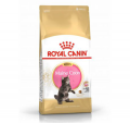 Royal Canin 緬因幼貓糧10kg|犬公館|免費送貨