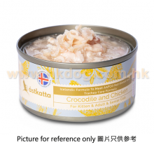 鱷魚+雞
