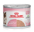 Royal Canin-初生貓罐頭195g|犬公館|免費送貨