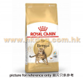 Royal Canin 孟加拉成貓配方 10kg