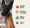 Fromm 無穀物兔肉全年齡狗糧12LB|犬公館|免費送貨