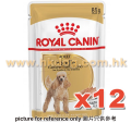 Royal Canin 貴婦成犬濕包 85G x12包