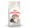 Royal Canin 老貓12+貓糧2kg|犬公館|免費送貨