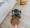 NOW FRESH-無穀物小型幼犬火雞,三文魚,鴨肉狗糧22LB|犬公館|免費送貨