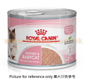 Royal Canin 初生貓濕糧 195g