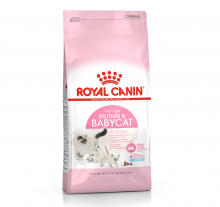Royal Canin 初生幼貓糧4kg|犬公館|免費送貨